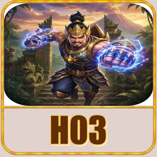 h03